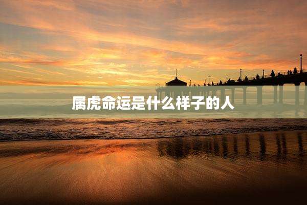 属虎命运是什么样子的人