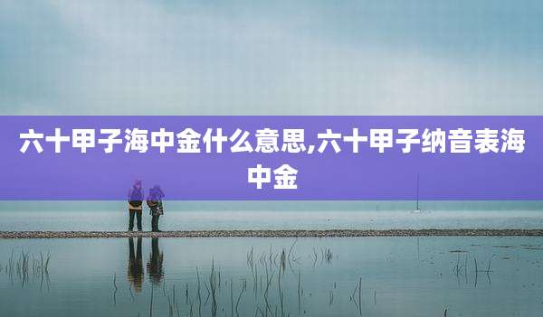 六十甲子海中金什么意思,六十甲子纳音表海中金
