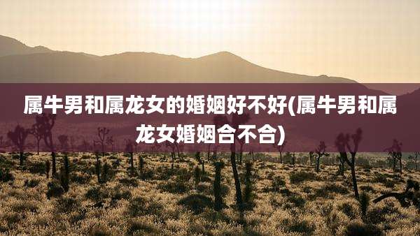 属牛男和属龙女的婚姻好不好(属牛男和属龙女婚姻合不合)
