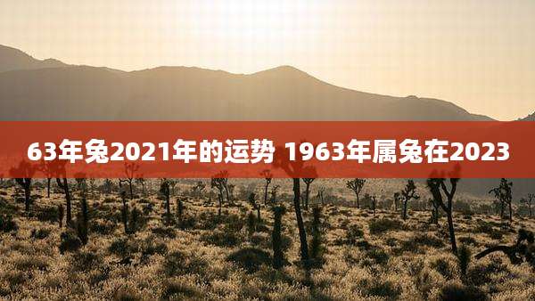 63年兔2021年的运势 1963年属兔在2023