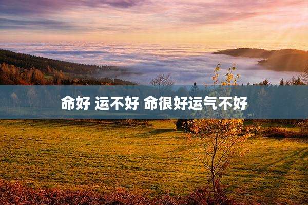 命好 运不好 命很好运气不好