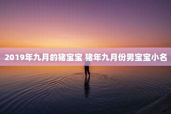 2019年九月的猪宝宝 猪年九月份男宝宝小名