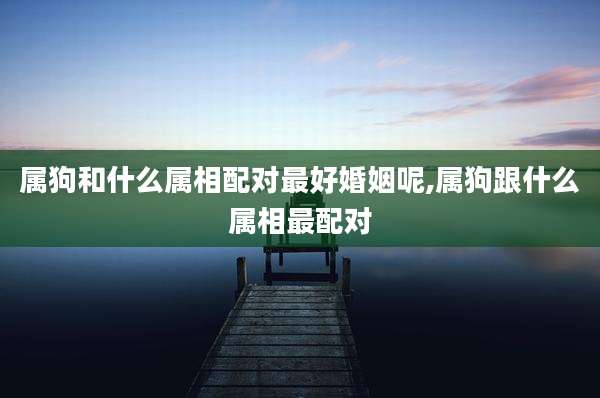 属狗和什么属相配对最好婚姻呢,属狗跟什么属相最配对