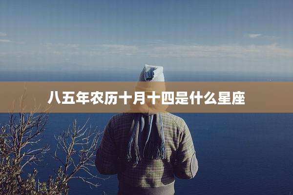 八五年农历十月十四是什么星座