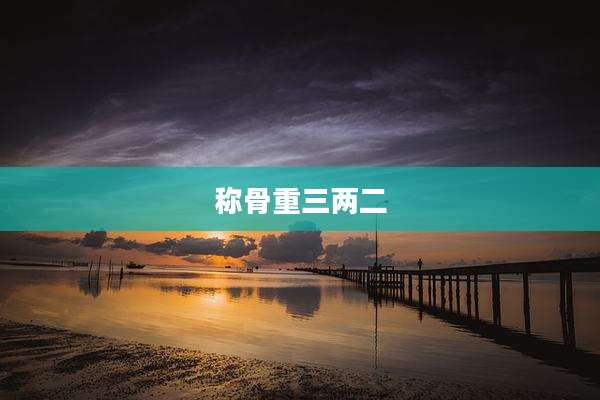 称骨重三两二