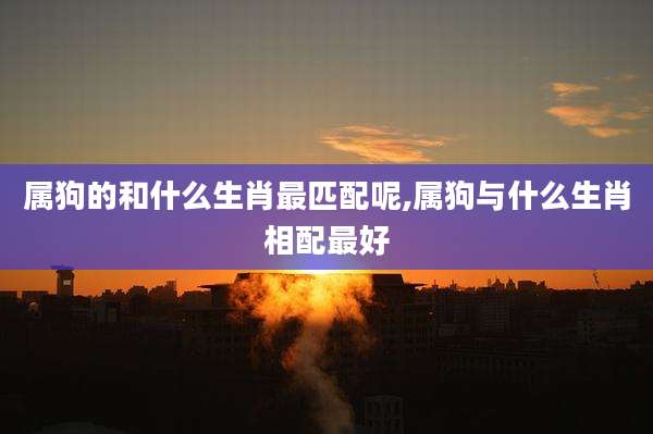 属狗的和什么生肖最匹配呢,属狗与什么生肖相配最好