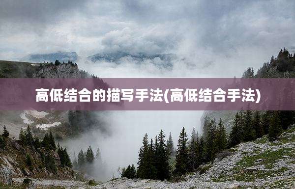 高低结合的描写手法(高低结合手法)