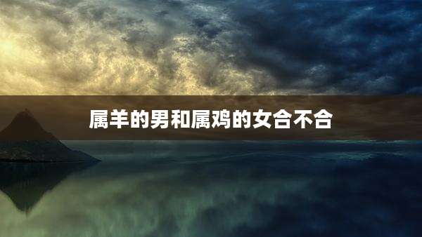 属羊的男和属鸡的女合不合