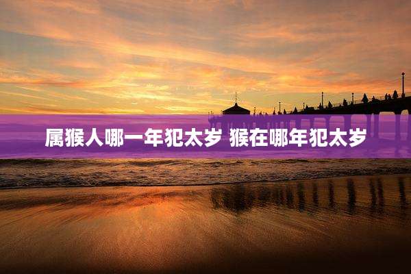 属猴人哪一年犯太岁 猴在哪年犯太岁