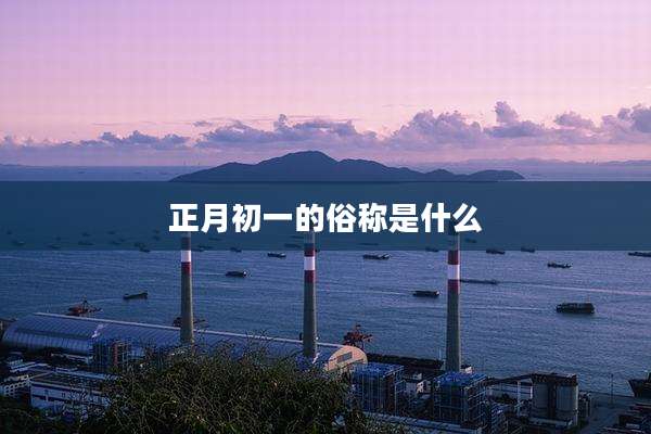 正月初一的俗称是什么