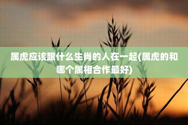 属虎应该跟什么生肖的人在一起(属虎的和哪个属相合作最好)