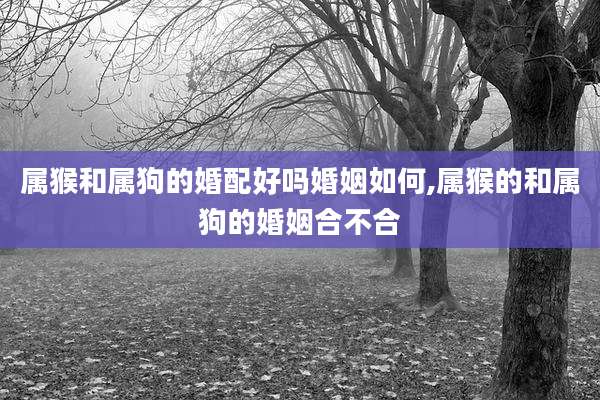 属猴和属狗的婚配好吗婚姻如何,属猴的和属狗的婚姻合不合