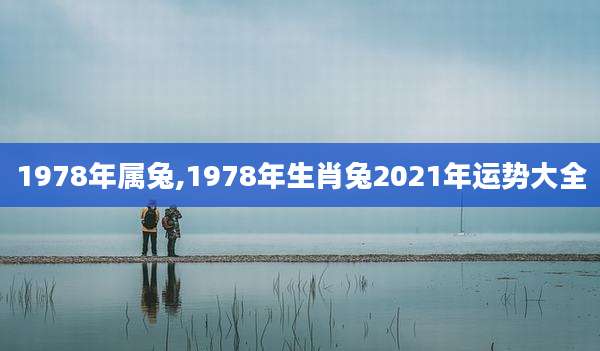 1978年属兔,1978年生肖兔2021年运势大全