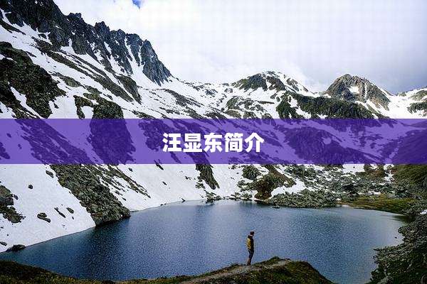 汪显东简介