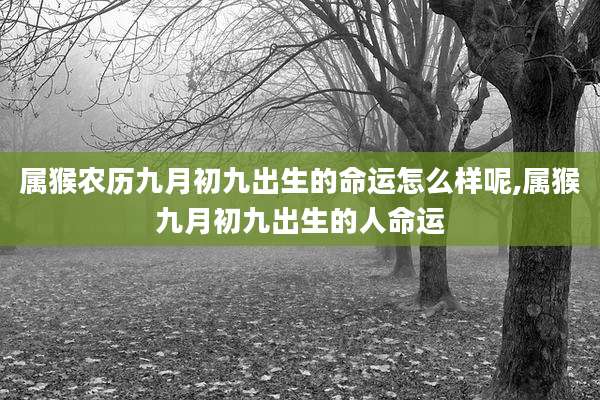 属猴农历九月初九出生的命运怎么样呢,属猴九月初九出生的人命运
