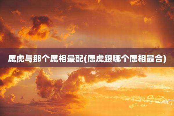 属虎与那个属相最配(属虎跟哪个属相最合)