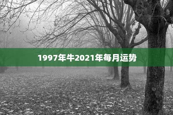 1997年牛2021年每月运势