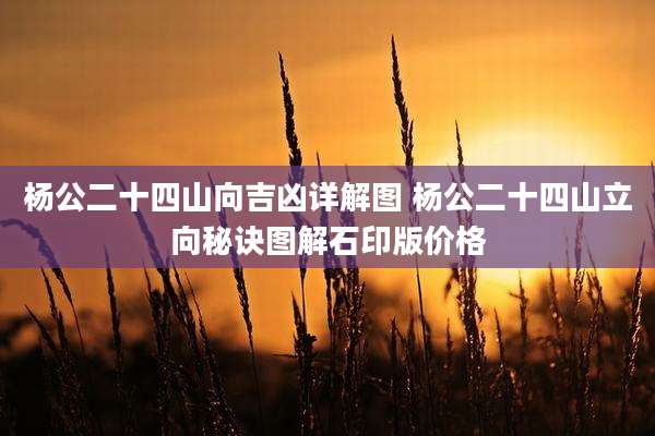 杨公二十四山向吉凶详解图 杨公二十四山立向秘诀图解石印版价格