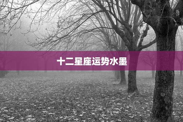 十二星座运势水墨