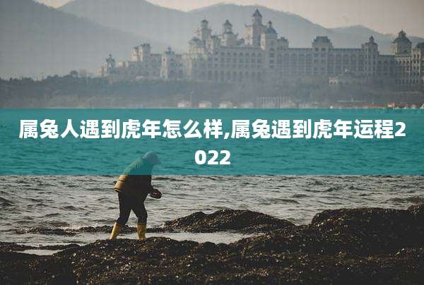 属兔人遇到虎年怎么样,属兔遇到虎年运程2022