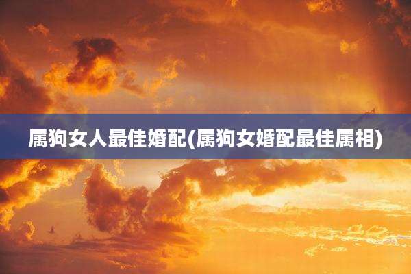 属狗女人最佳婚配(属狗女婚配最佳属相)