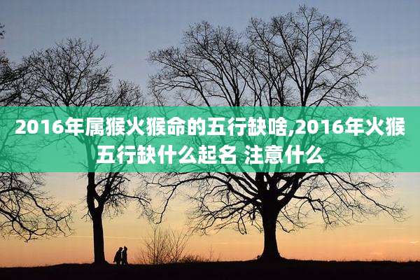 2016年属猴火猴命的五行缺啥,2016年火猴五行缺什么起名 注意什么