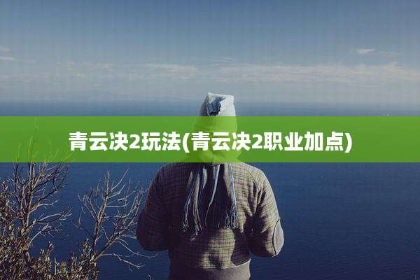 青云决2玩法(青云决2职业加点)
