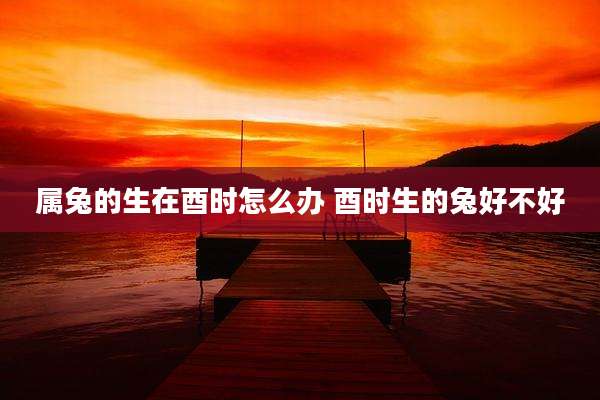 属兔的生在酉时怎么办 酉时生的兔好不好