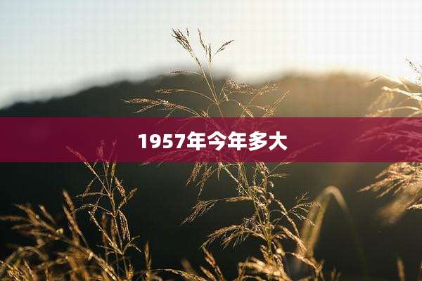 1957年今年多大