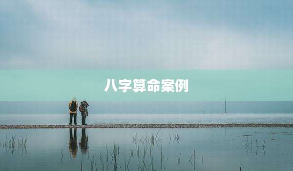 八字算命案例