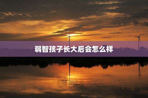 弱智孩子长大后会怎么样
