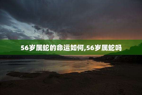 56岁属蛇的命运如何,56岁属蛇吗