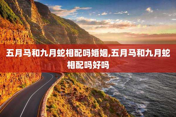 五月马和九月蛇相配吗婚姻,五月马和九月蛇相配吗好吗