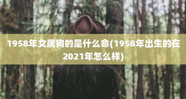 1958年女属狗的是什么命(1958年出生的在2021年怎么样)