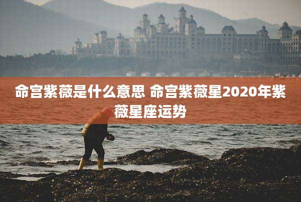 命宫紫薇是什么意思 命宫紫薇星2020年紫薇星座运势