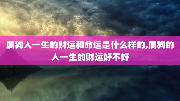 属狗人一生的财运和命运是什么样的,属狗的人一生的财运好不好