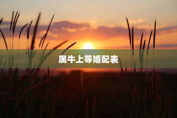 属牛上等婚配表