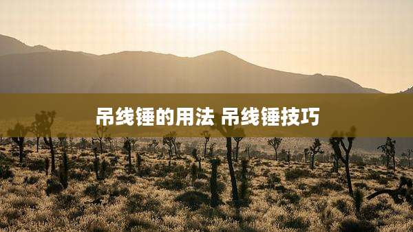 吊线锤的用法 吊线锤技巧