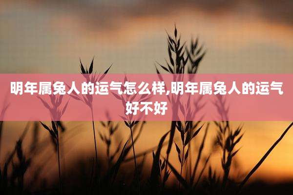 明年属兔人的运气怎么样,明年属兔人的运气好不好