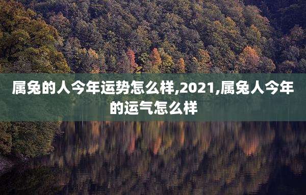 属兔的人今年运势怎么样,2021,属兔人今年的运气怎么样