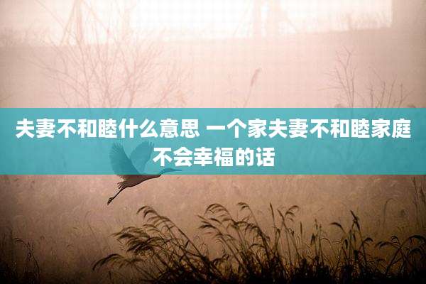 夫妻不和睦什么意思 一个家夫妻不和睦家庭不会幸福的话