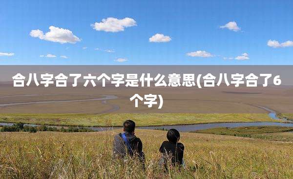 合八字合了六个字是什么意思(合八字合了6个字)
