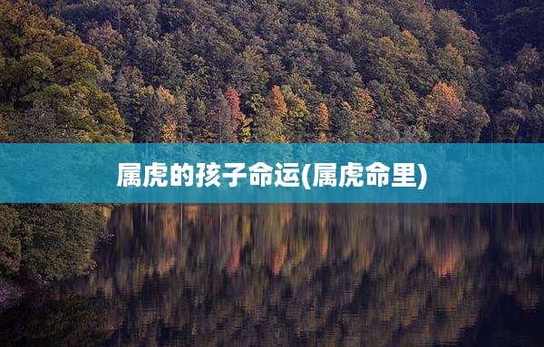 属虎的孩子命运(属虎命里)