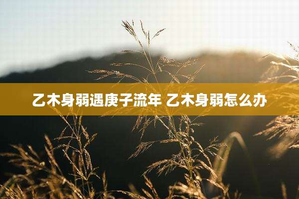 乙木身弱遇庚子流年 乙木身弱怎么办