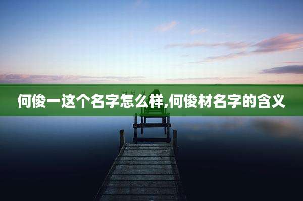 何俊一这个名字怎么样,何俊材名字的含义