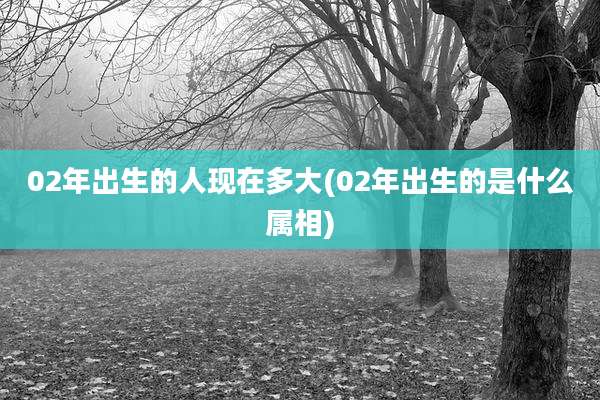 02年出生的人现在多大(02年出生的是什么属相)