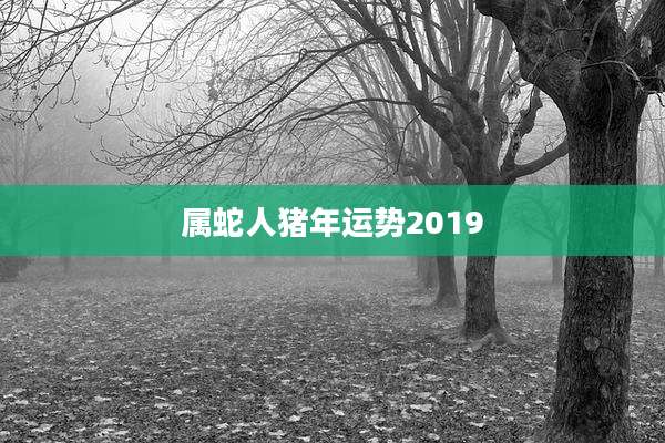 属蛇人猪年运势2019