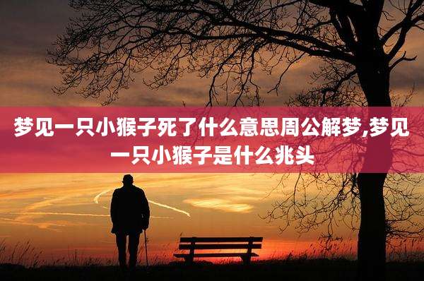 梦见一只小猴子死了什么意思周公解梦,梦见一只小猴子是什么兆头