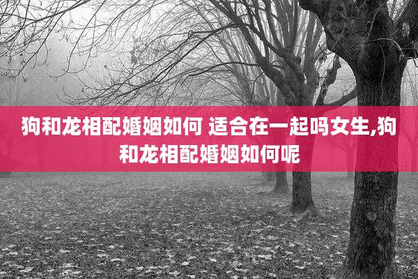 狗和龙相配婚姻如何 适合在一起吗女生,狗和龙相配婚姻如何呢
