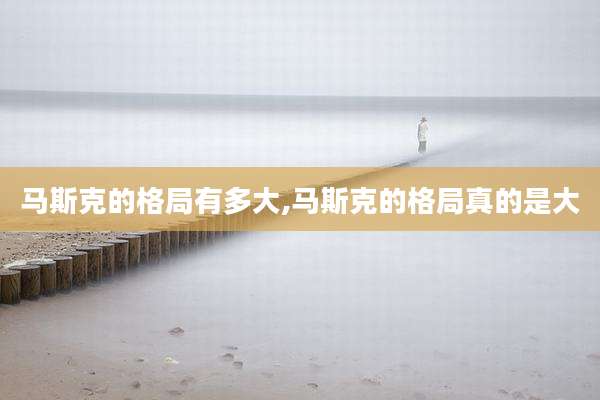 马斯克的格局有多大,马斯克的格局真的是大